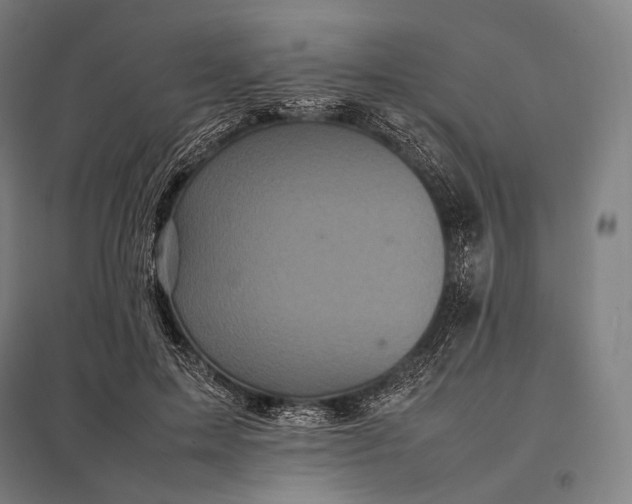 X0000097860599200803281313