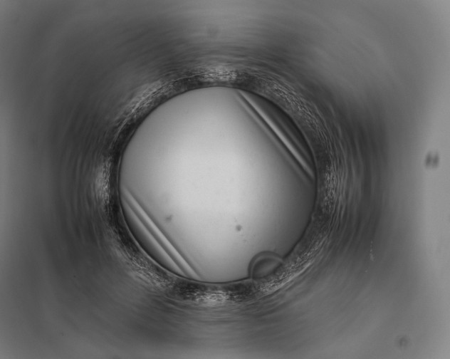 X0000097860600200803281313