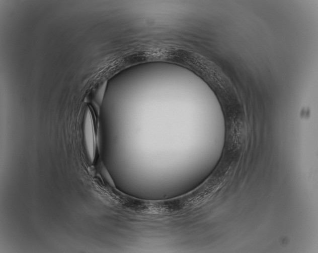 X0000097860601200803281313