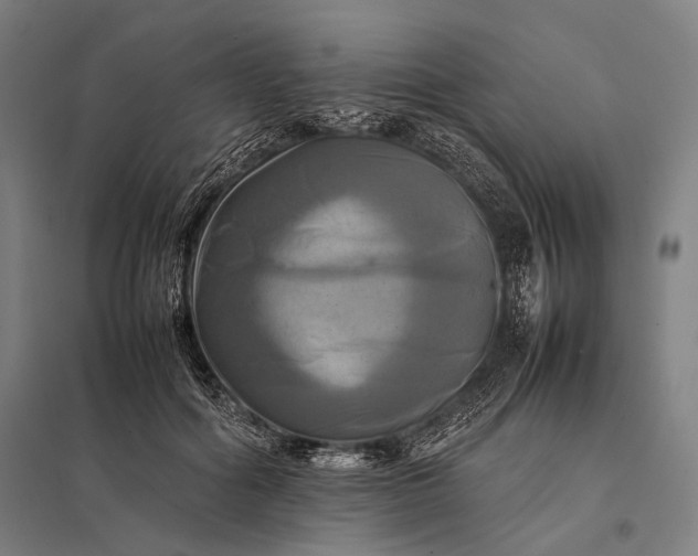 X0000097860602200803281313