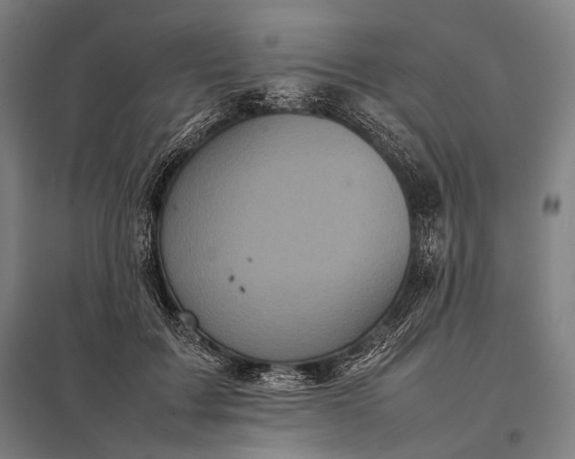 X0000097860603200803281313