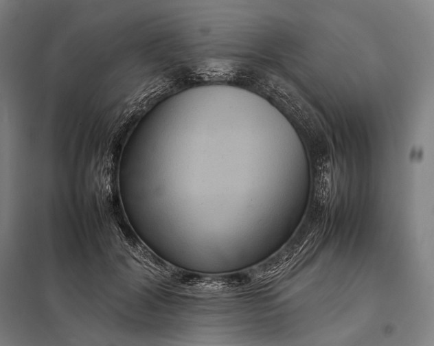 X0000097860604200803281313