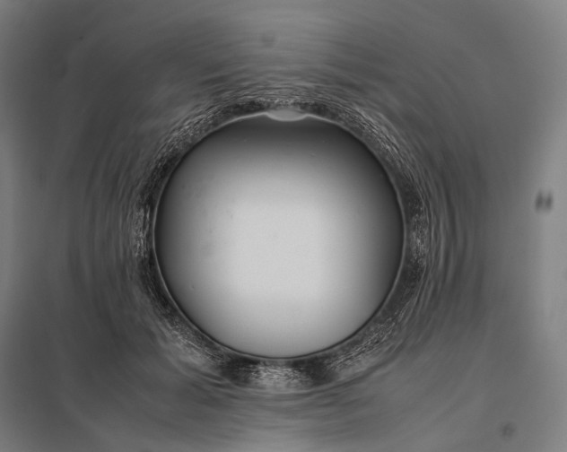 X0000097860605200803281313