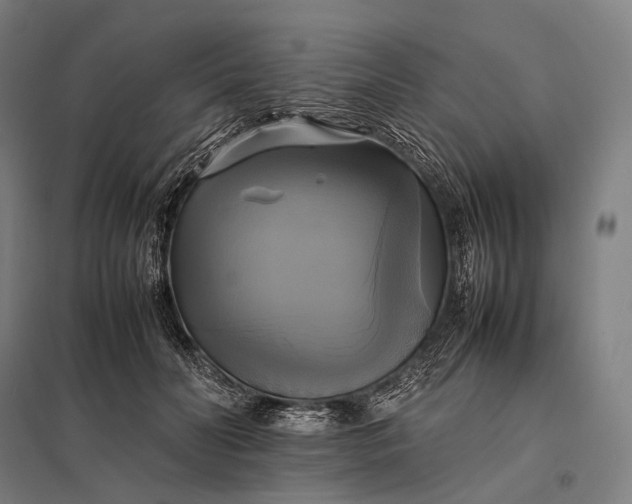 X0000097860606200803281313