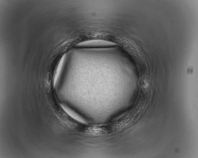 X0000097860607200803281313