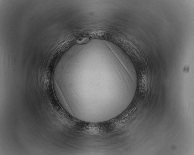 X0000097860608200803281313