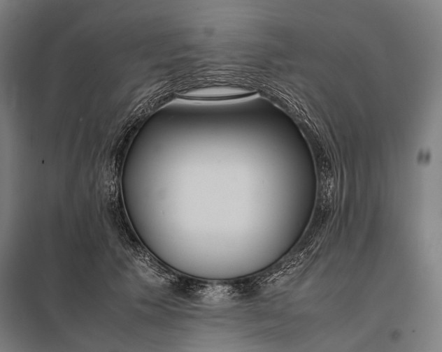 X0000097860609200803281313