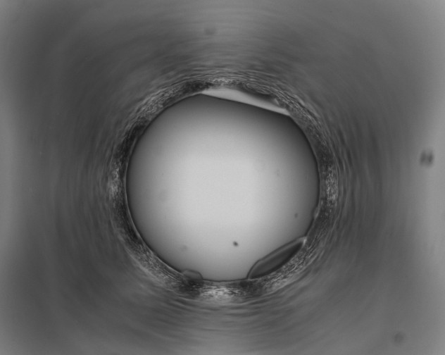 X0000097860611200803281313