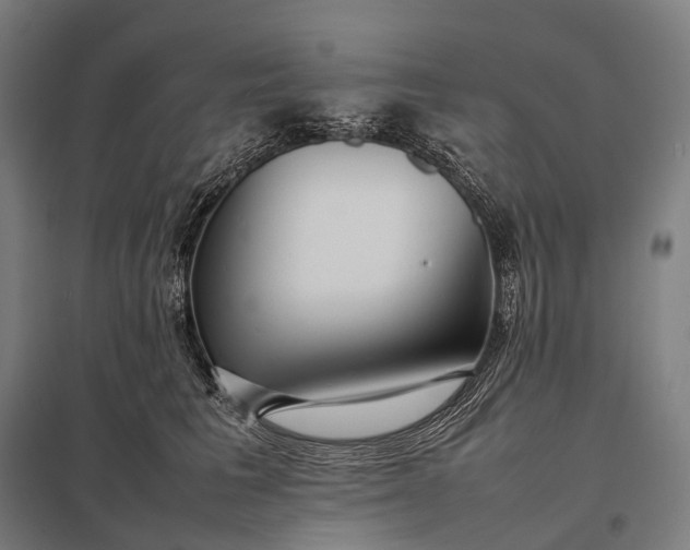 X0000097860613200803281313