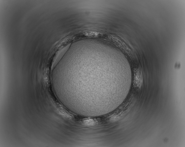 X0000097860616200803281313