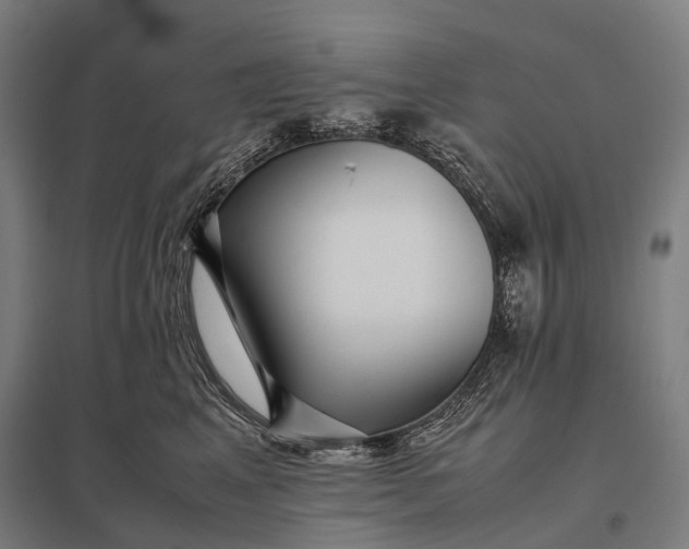 X0000097860617200803281313