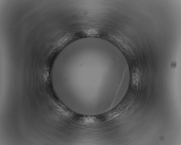 X0000097860618200803281313