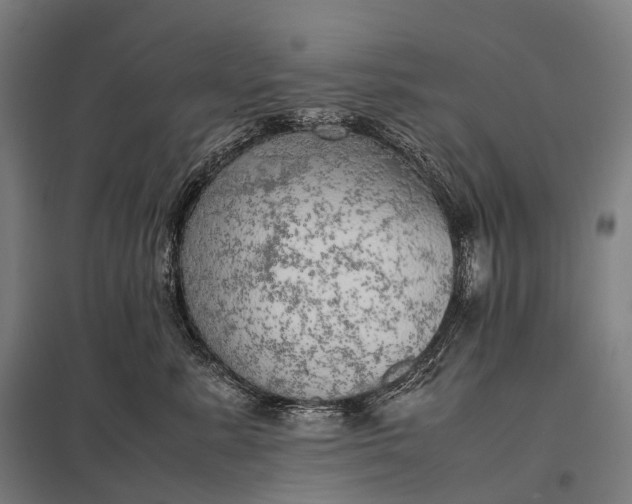 X0000097860619200803281313