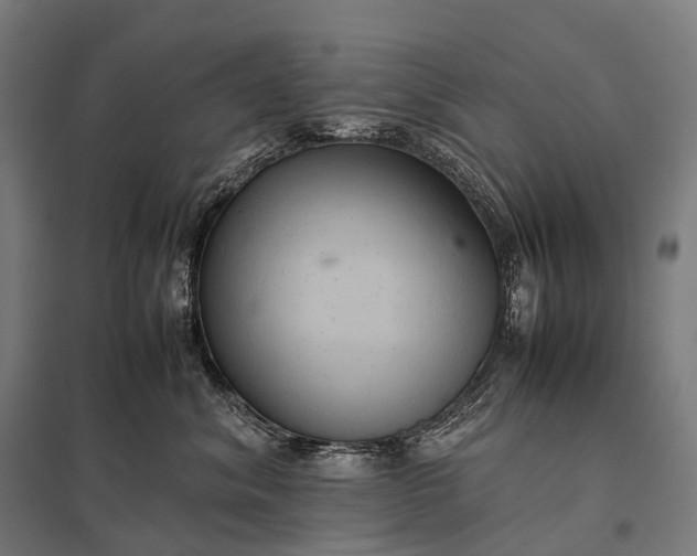 X0000097860620200803281313