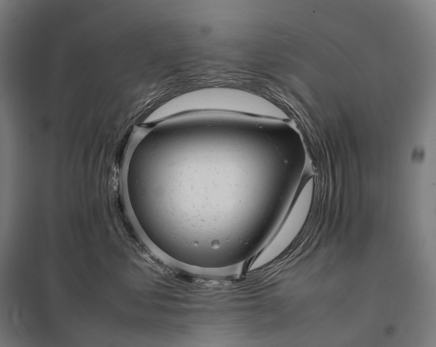 X0000097860621200803281313