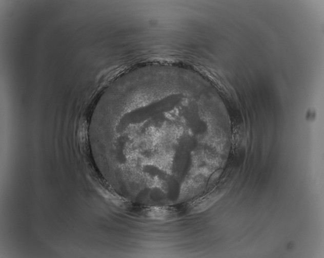 X0000097860623200803281313