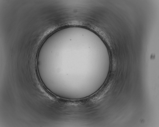 X0000097860625200803281312