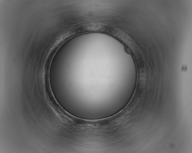 X0000097860626200803281312