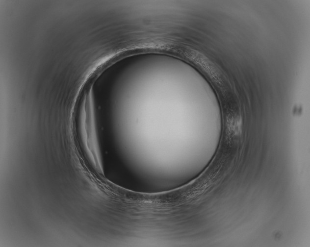 X0000097860628200803281312