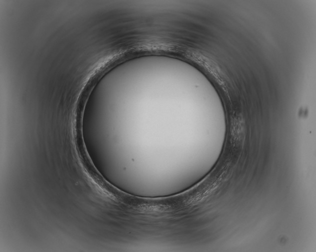 X0000097860629200803281312