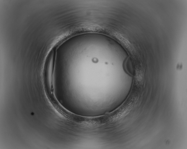 X0000097860630200803281312