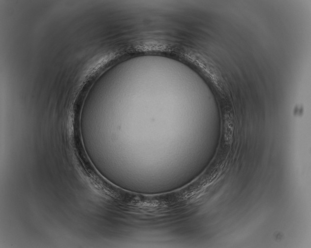 X0000097860631200803281312