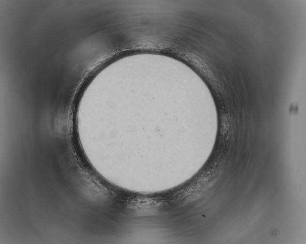 X0000097860632200803281312