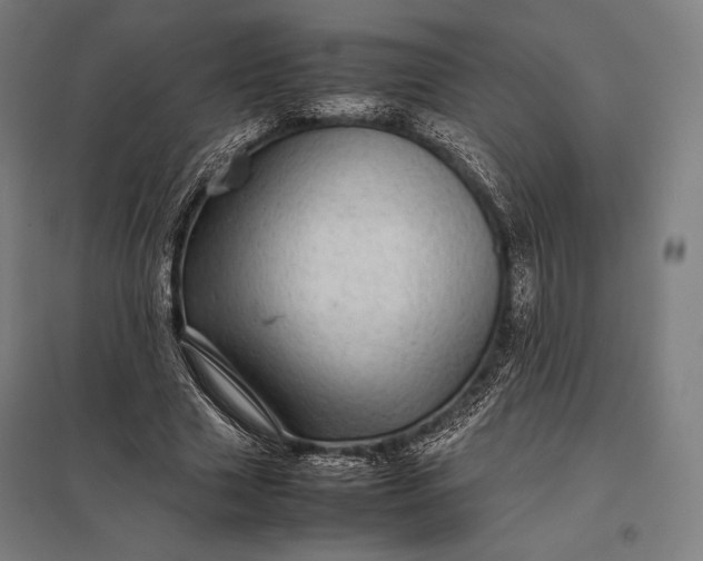 X0000097860633200803281312