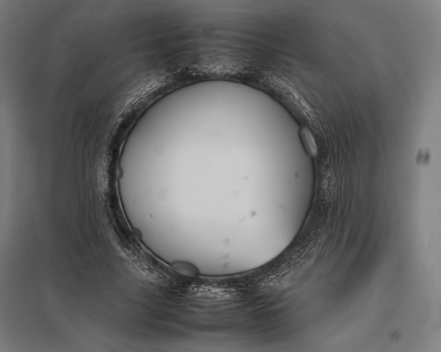 X0000097860635200803281312