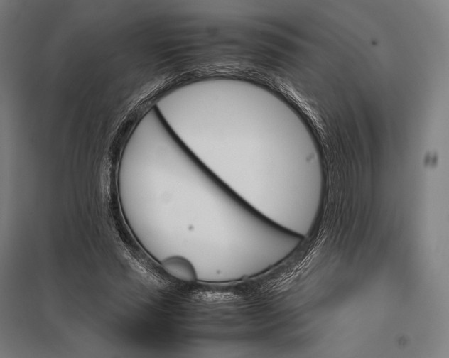 X0000097860637200803281312