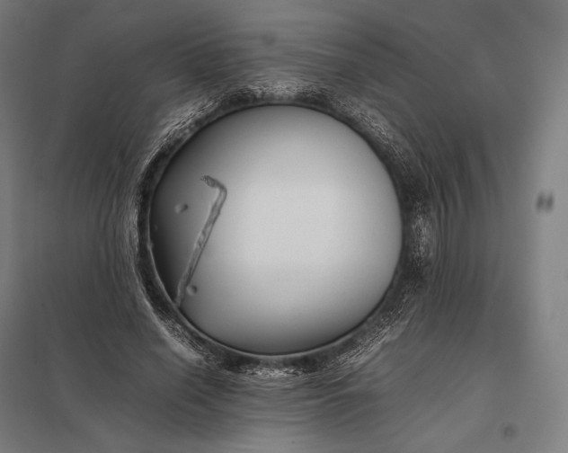 X0000097860638200803281312