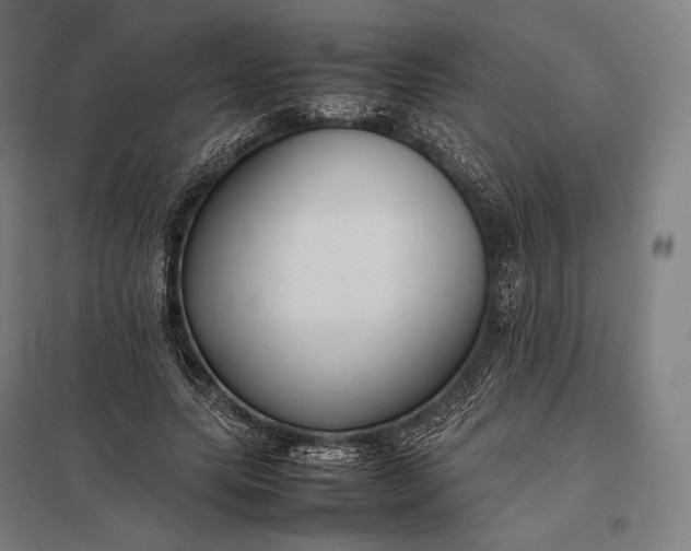 X0000097860639200803281312