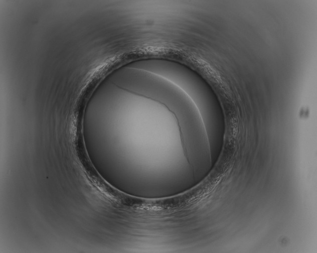 X0000097860640200803281312