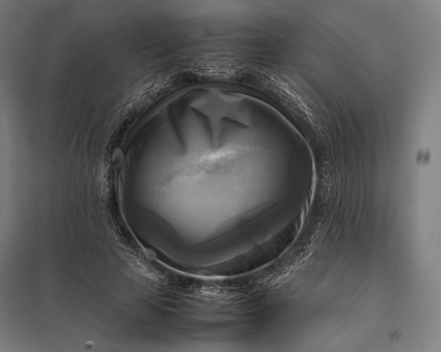 X0000097860641200803281312