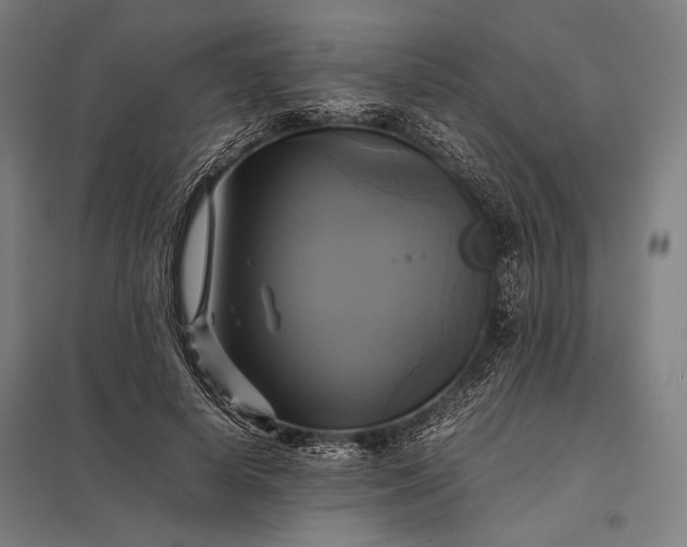 X0000097860642200803281312