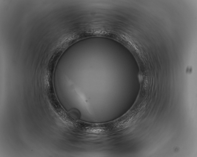 X0000097860643200803281312