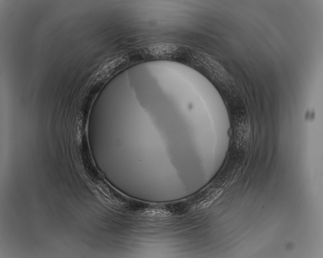 X0000097860644200803281312