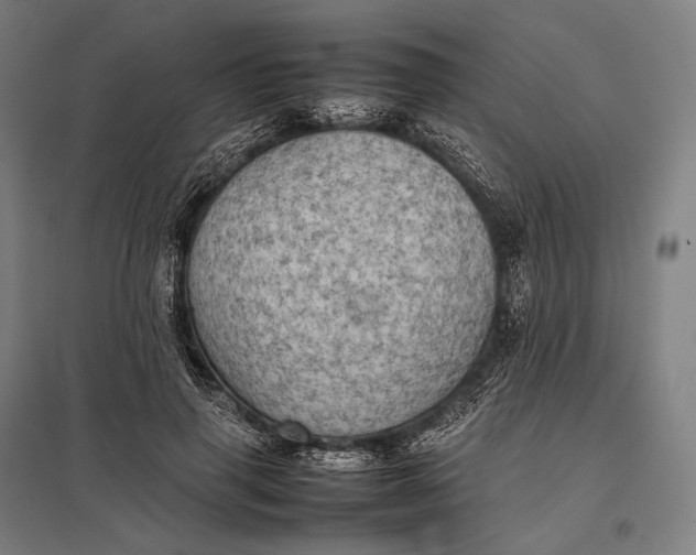 X0000097860645200803281312