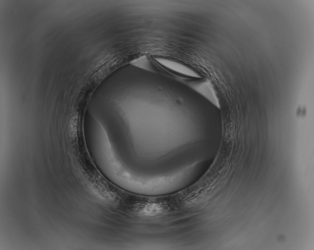 X0000097860647200803281312