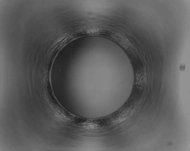 X0000097860648200803281313