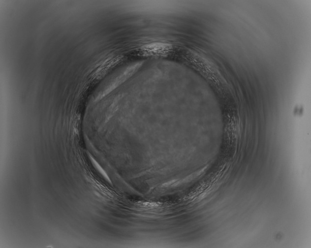 X0000097860649200803281313