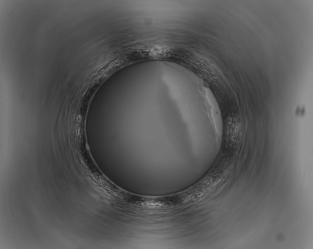 X0000097860650200803281313