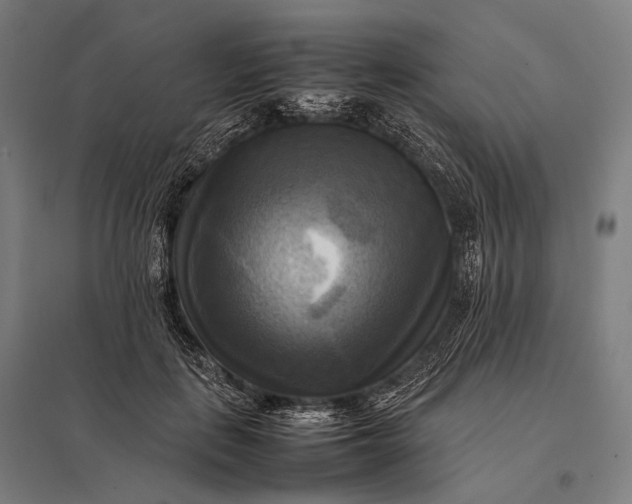 X0000097860651200803281313