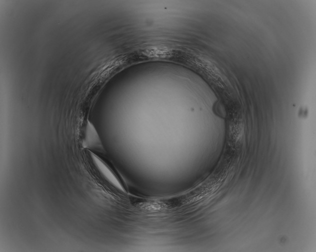 X0000097860652200803281313