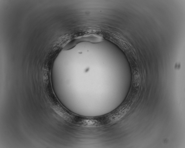 X0000097860654200803281313