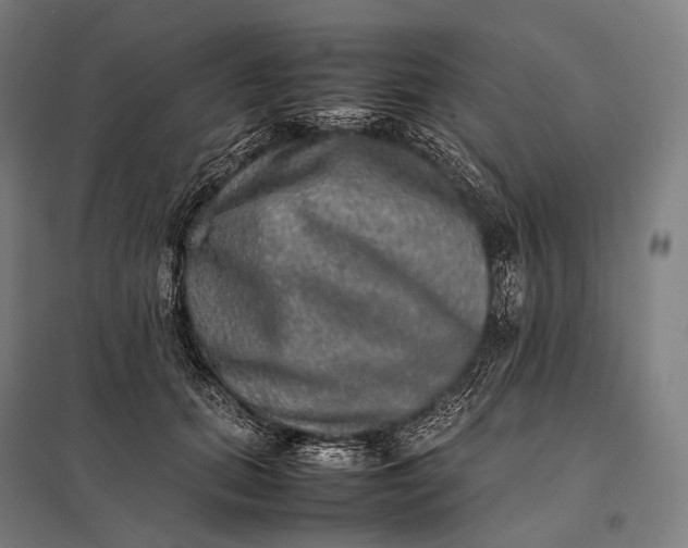 X0000097860655200803281313