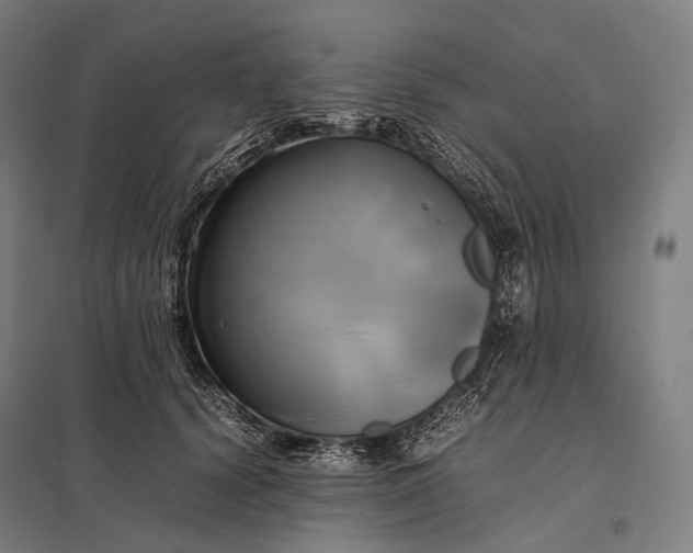 X0000097860656200803281313