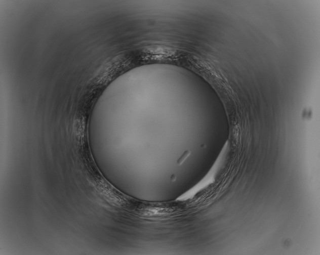 X0000097860657200803281313