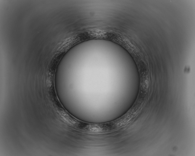 X0000097860658200803281313