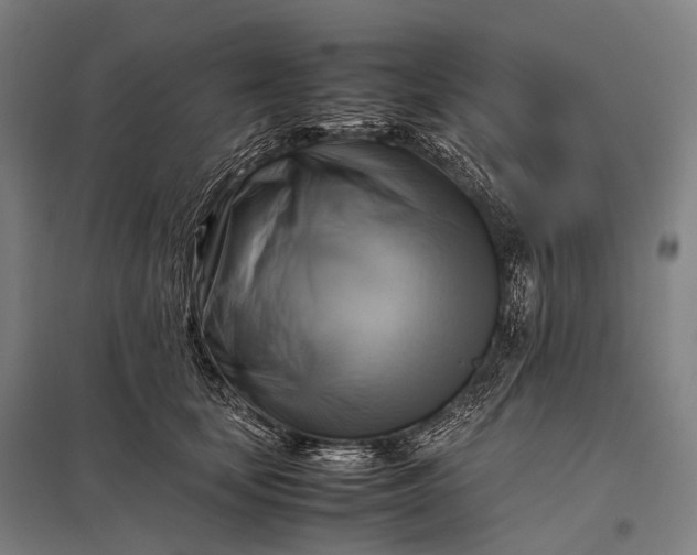 X0000097860659200803281313